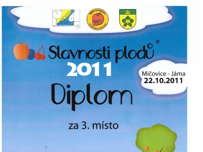 2011 Slivovice